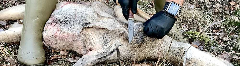 Hunting knives
