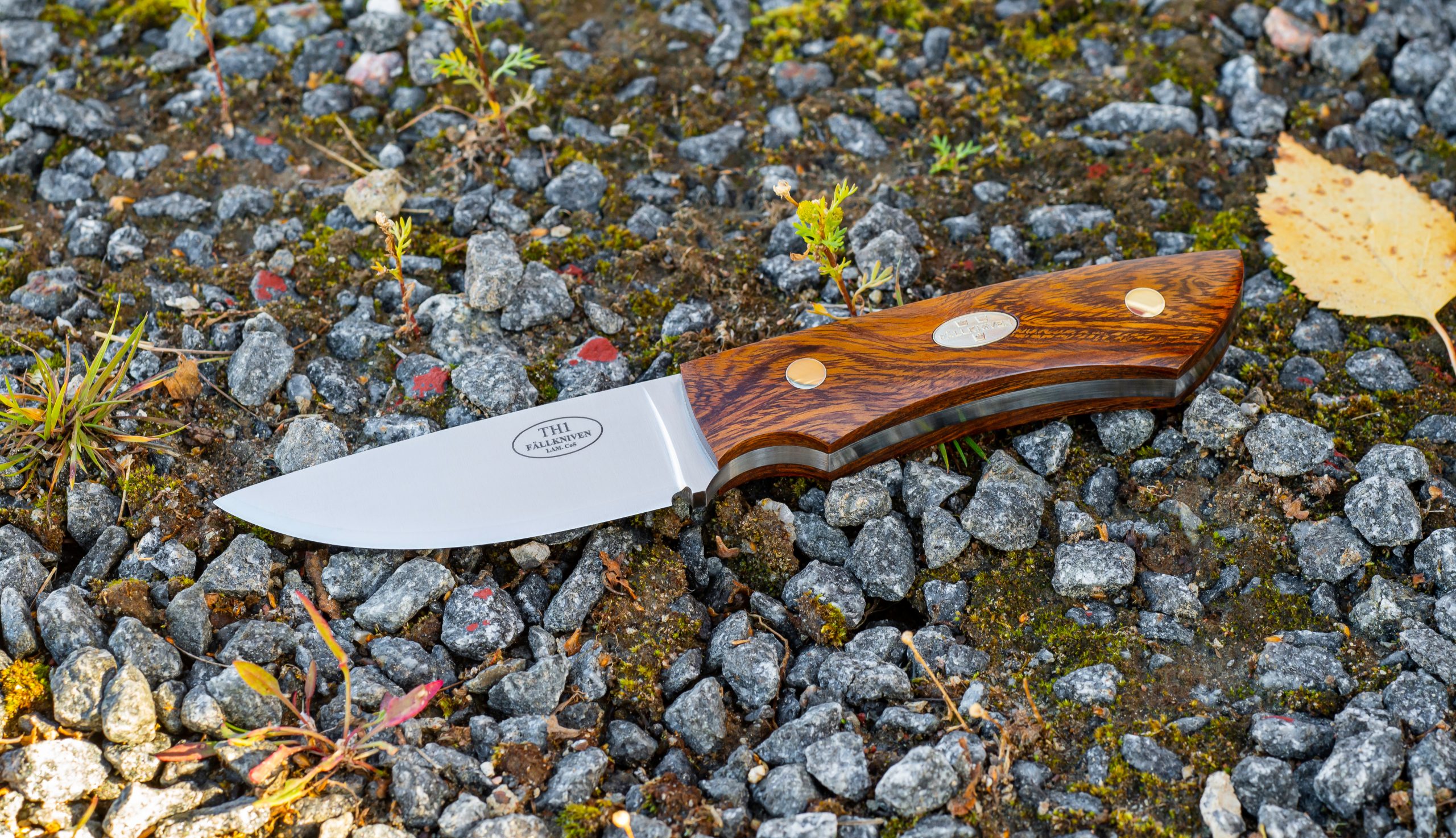 Hunting knives